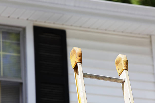 Best Hoarding Cleanup  in Yorktown, IN